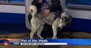 Pet of the Week 12.16.22