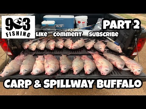 | Buffalo Fishing & Carp Fishing In Texas Using Homemade Doughbait | PART 2 (MUST SEE)