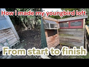 DIY Racing Pigeon Loft Build | Step by Step from Start to Finish 🏗️🕊️