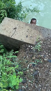 914K views · 10K reactions | Old man try to catch fish with using cast net #fishing #fishingislife #castnet #reelvideos | Nimit Village | Facebook