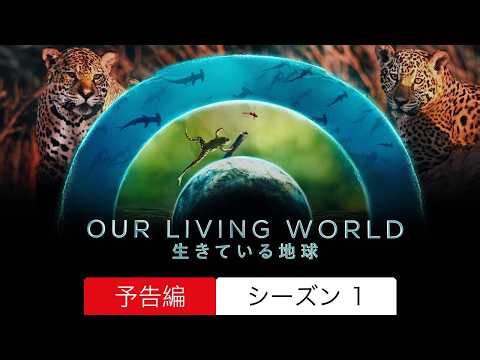 Our Living World: 生きている地球 :: 予告編 シーズン 1 :: 見るべきか