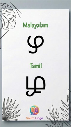 Tamil Mei Ezhuthu ழ Writing Practice #learning #southlanguage #tamillearning #kerala