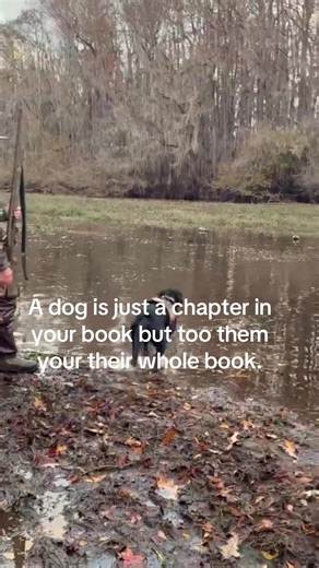 She knows her place in this family ❤️❤️#fyp #viral #dogsoftiktok #hunting @RaeK @Kristin_SC🦆 @Bb_rogers @ben_rogers