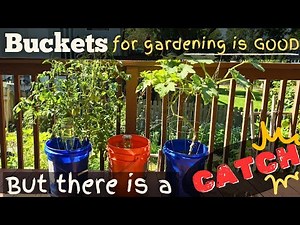 How to grow vegetables in small space in 5 gallon buckets & best plants to grow in bucket garden