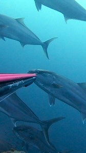 188K views · 10K reactions | 혖혻혢혯 혖혯혦혯 혮혦혦혵 혢혮혢혻혪혯혨 혨혳혰혶혱 혰혧 혈협...