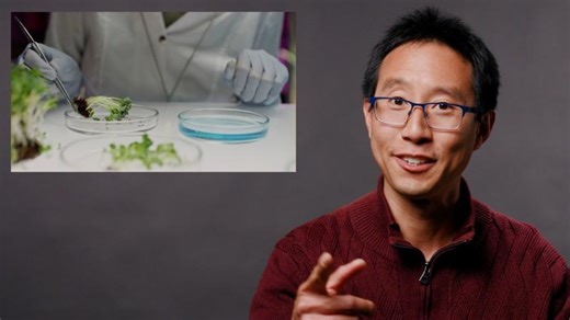 Plant synthetic biology explained in 101 seconds | 101 in 101