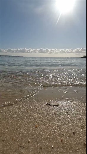 BEACH WAVES #beach #wavesounds #relaxingwaves