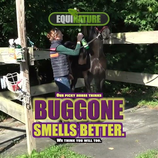 Buggone Smells Better!
