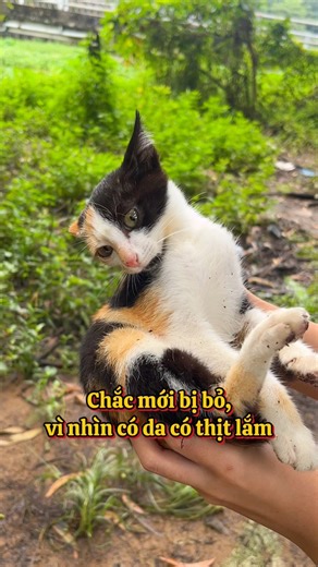 Loki hơi buồn 🥹 #lokivaluna | Loki và Luna