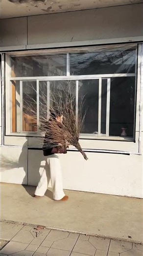 Stylish Window & Door Curtains for Home 🏡 | Best Curtains on Flipkart | Room Decor Idea