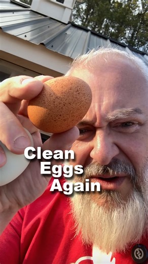 The silkie roosters are gone since we were having issues with them in the nest boxes. Someone was nice enough to take them off our hands. Now we are back to having clean eggs!! | Carolina Coops