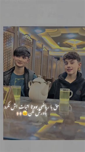 Understanding Mathematical Proofs in Action