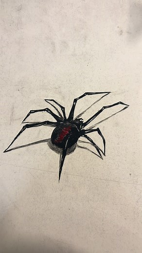 Simple spider sketch in class🕷️ #spider #drawing #artist #school #fyp | drawing