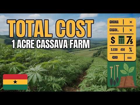 Estimated Cost of 1 Acre Cassava Farming From Strat to Finish.
