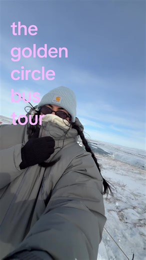 Golden Circle Bus Tour: Iceland Adventure