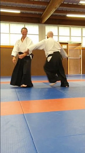 Ushiro katate dori kubi shime Kote gaeshi #aikidokiryokukanlaurentdambrine #aïkido #artmartial