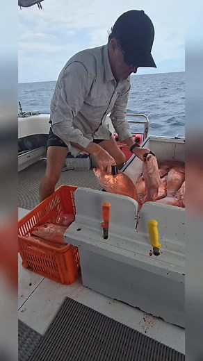 3.6K views · 58 reactions | FISH ON! Did someone say fish on and...