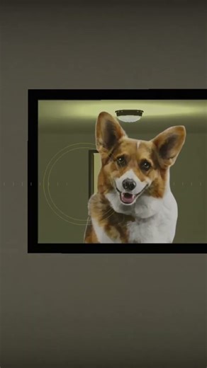 Crazy Frog and the Dog Brutally Kill Me in a Hotel Map | GMod Horror Gameplay