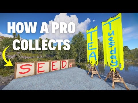 How a Pro Farmer Gathers Seeds for Clones - Tea Tuesday