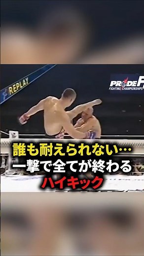誰も耐えられない⋯一撃で全てが終わるハイキック #格闘技#キックボクシング