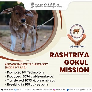 Advancing IVF Technology (NDDB IVF Lab) Leading the Way in Livestock Reproduction: NDDB IVF Lab's advanced technology has produced 5074 viable embryos, transferred 2033, and resulted in 208 calves born! #IVF #LivestockInnovation #DairyDevelopment | Dept of Animal Husbandry and Dairying, Min of FAHD