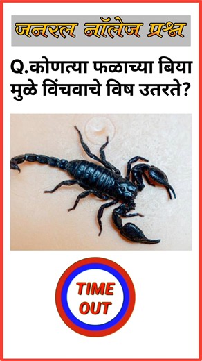 🤯 99% लोकांना या प्रश्नांची बरोबर उत्तरे देता येत नाहीत | GK Quiz 🔥