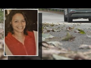 Officials still need to know who killed Brenda Clark and why she was 40 miles away from home