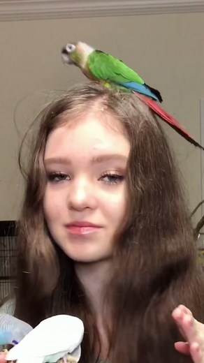 birds > people #bird #birds #parrot