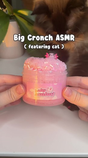 Baby Axolotl Slime Collection | Peachybbies