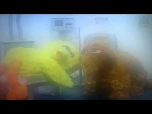 Sesame Street - Bird Flu