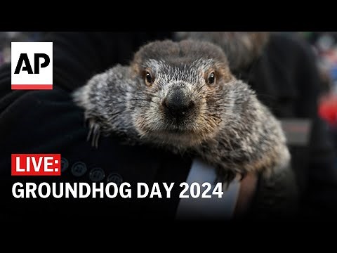 Groundhog Day 2024: Watch if Punxsutawney Phil sees his shadow