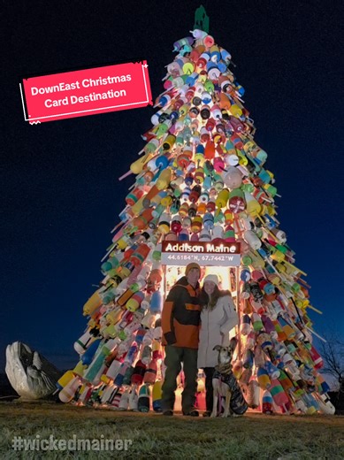 Discover the Unique Buoy Tree in Addison, Maine