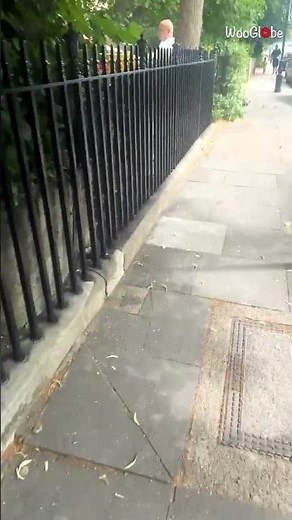 Mouse Trap Prank: Hilarious Workmate Reaction Caught on Camera! || WooGlobe