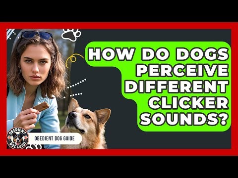 How Do Dogs Perceive Different Clicker Sounds? - Obedient Dog Guide