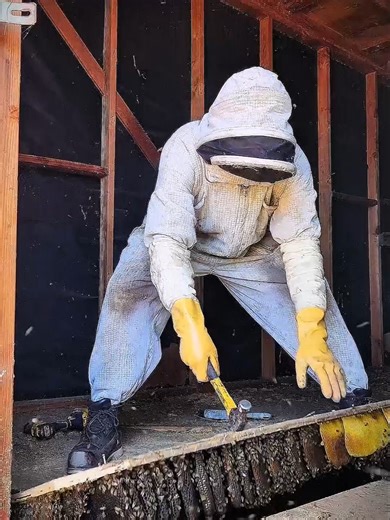 How To Survive Bee Attack