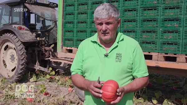 Doc Fischer: Doc Fischer: Sendung vom 8. Oktober 2025