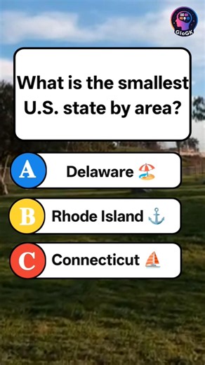 What Is the Smallest U.S. State by Area? 🤏 #Shorts #USA #GK
