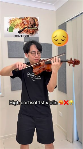Low stress violin | Twoset Violin