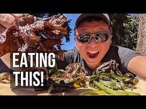 COASTAL FORAGING: EXPLORING EDIBLE SEAWEEDS | Puget Sound's Bounty