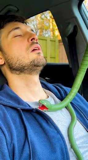 The most craziest monkey pranks human-Try not to laugh #funny #fyp #prank#shorts#tiktok#