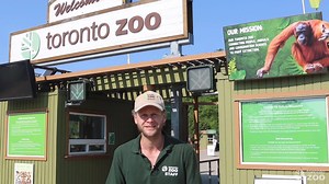 65K views · 2.2K reactions | Welcome back! You may notice a few differences onsite since your last visit, so follow Andy to see what's new and what safety measures we have in place to ensure you and your family have a safe visit to the Zoo! 女 Book your timed-tickets today at torontozoo.com/welcomeback! | The Toronto Zoo | Facebook