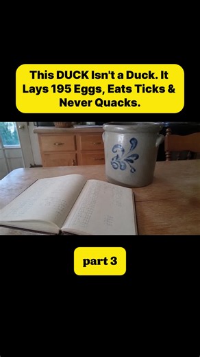 The backyard “duck” that wipes out ticks and lays 190 eggs a year