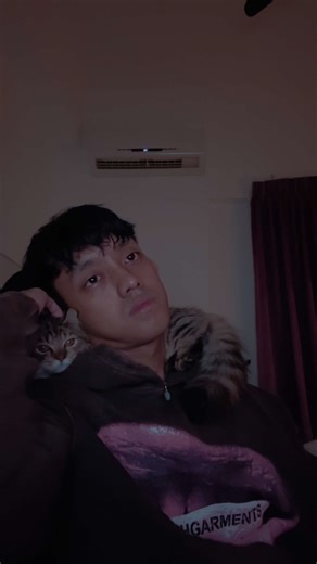 Meet Nala: The Only Princess in Our Family