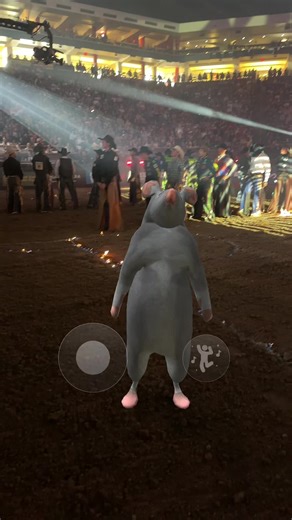 PBR (@pbr) - Cowboys Shine at PBR: Bull Riders and Dance