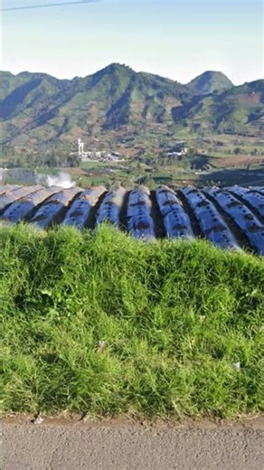 suasana sejuk dan adem #instrumenislam #instrumensholawat #pemandanganalam #nature