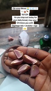 Ofor ututu oma umunnem #odinalalgbo #highlight #culture #truth #greatness Odinala lgbo/culture @top fans @followers @ | Odinalalgbo/culture