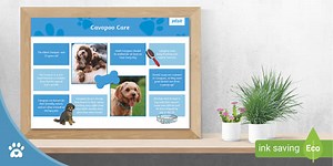 Cavapoo Care - Pets Fact Sheet