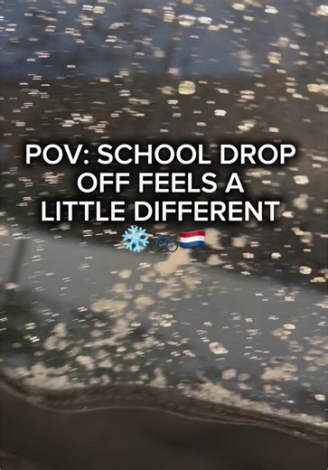 The snow flakes were HUGE and hit hard 🥴👀❄️ #fyp #viral #livinginthenetherlands #winter #mondaymotivation