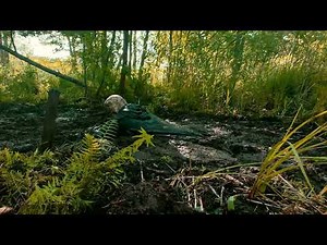 Thick Bog Experience - Masurian Bogs 2025 | day 10-3