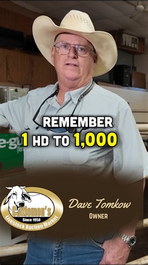 Whether you run 1 head to 1,000, we can market all your cattle! Sell through the ring on Tuesday or go video through Superior Livestock. We continually source quality bulls & replacement cattle to help improve your herd. One market. One team. Where all your cattle are handled the right way. If you're looking for a market that will help you from start to finish, give us a call. We would love to help you maximize the value of your cattle! Cattlemen's Livestock Market 📍 3305 US 92 E. Lakeland, FL 